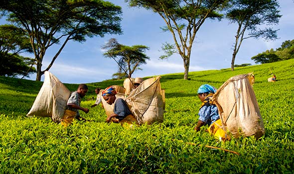 Explore-Malawi-Rates-tailor-made-private-guided-safaris-03