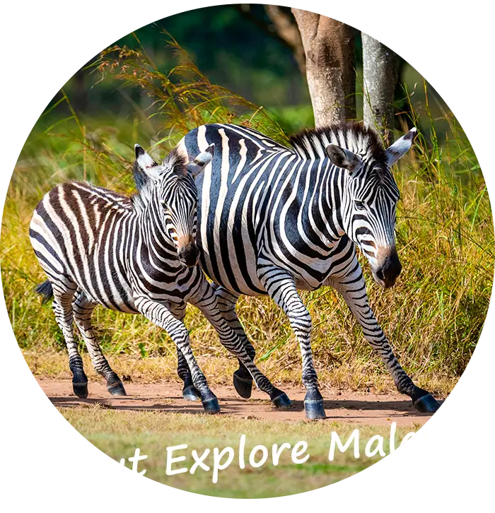 Explore-Malawi-About-Us-Self-Drive-Private-Guided-Safari