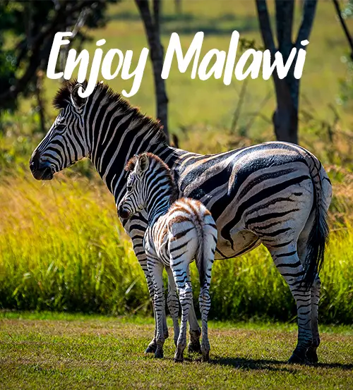 Explore-Malawi-Our-Self-Drive-Guided-itineraries