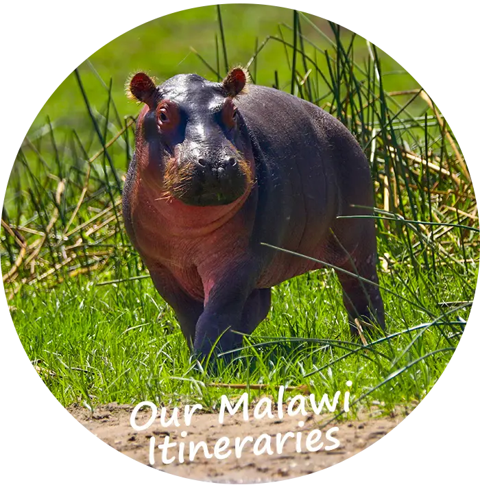 Explore-Malawi-Our-Self-Drive-Guided-itineraries