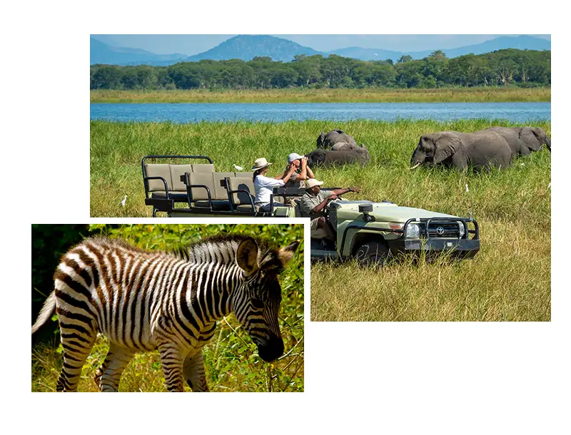 Explore-Malawi-Private-Safari-Self-Drive-Trips-Book-With-Confidence