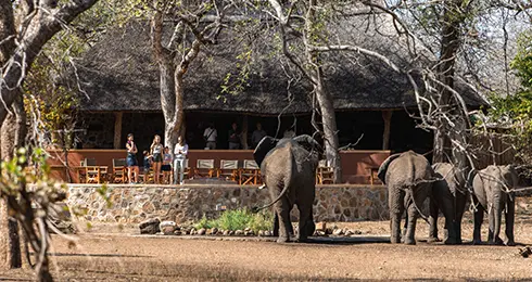 Explore-Malawi-Self-Drive-Itinerary-Highlights-Malawi