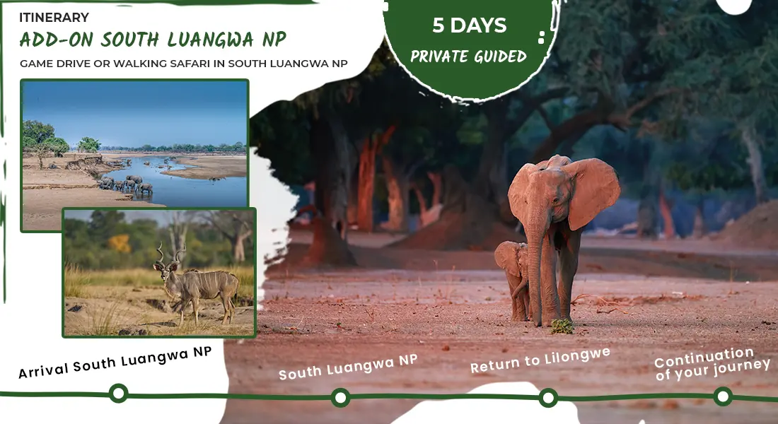 Guided-Safari-Add-On-South Luangwa-National-Park-Zambia