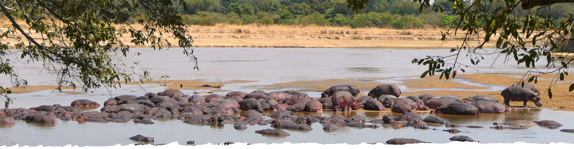 Guided-Safari-Add-On-South Luangwa-National-Park-Zambia