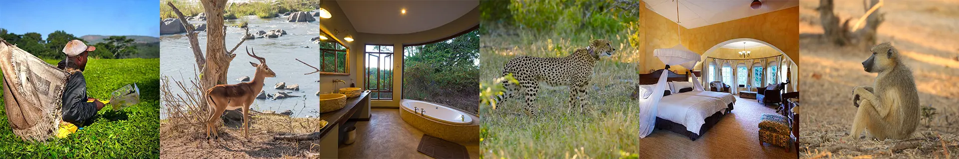 Malawi-Itinerary-Rates-footer