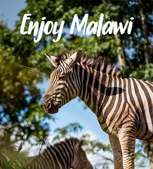 Malawi-Sustainable-Conscious-Travelling