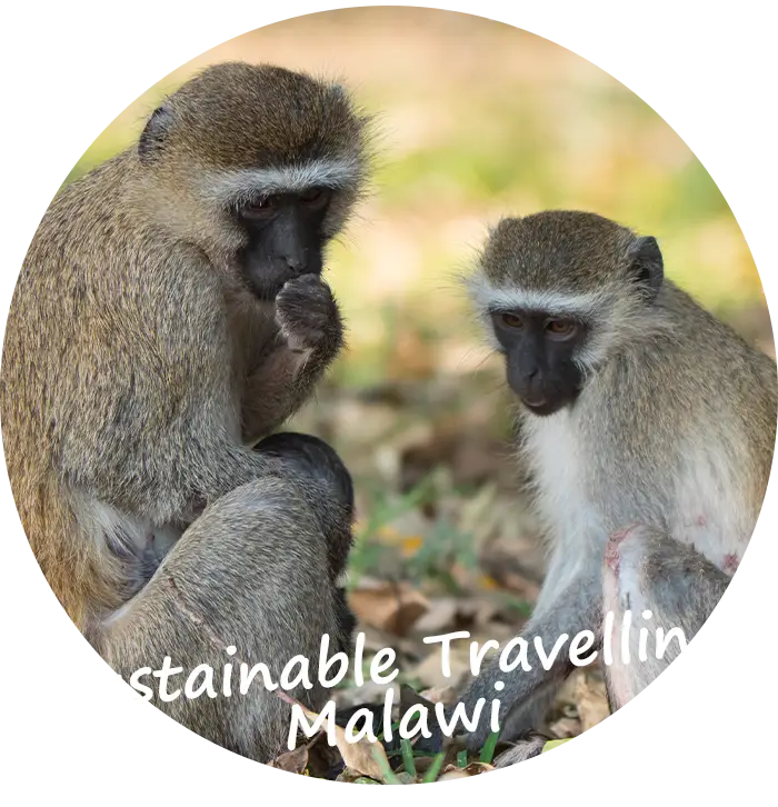 Malawi-Sustainable-Conscious-Travelling