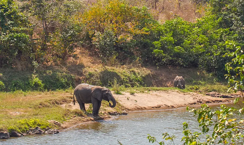 Private-Guided-Safari-Itinerary-Highlights-Malawi-excluded