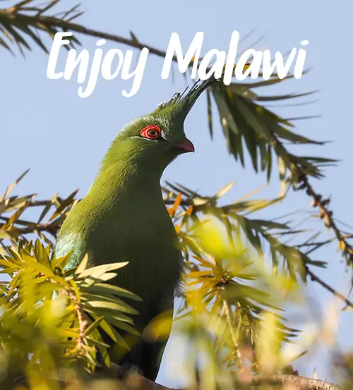 Private-Guided-Safari-Itinerary-Highlights-Malawi