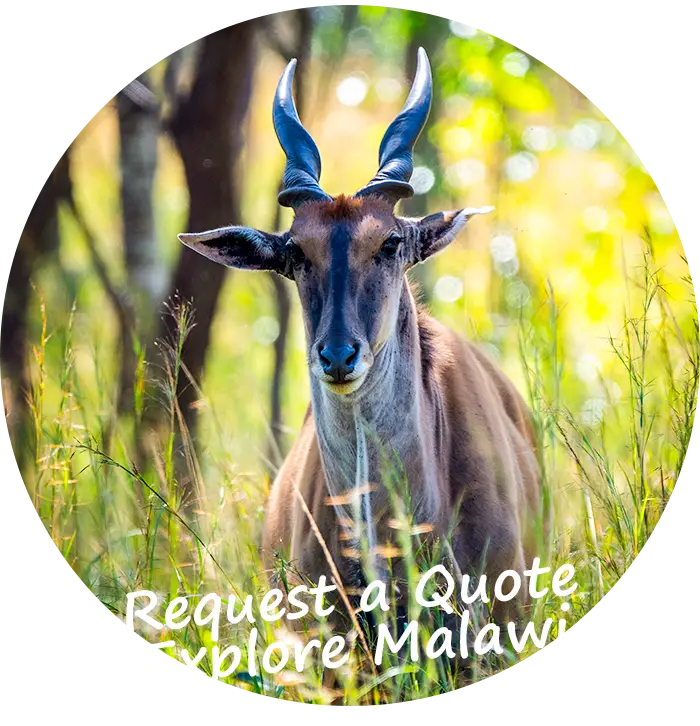 Request-a-Quote-Explore-Malawi-Self-Drive-Guided-Tours