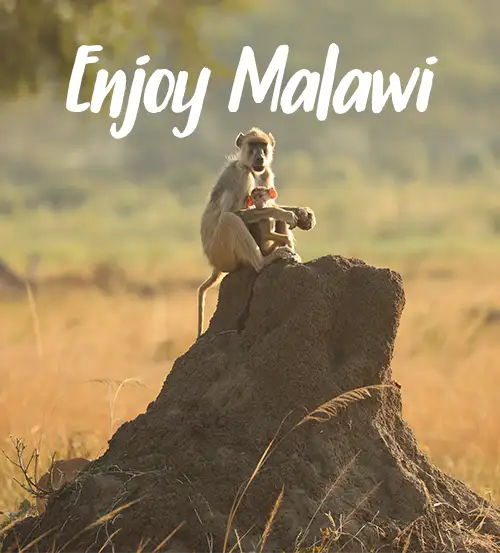 Self-Drive-Safari-Itinerary-Highlights-Malawi-Enjoy-Malawi