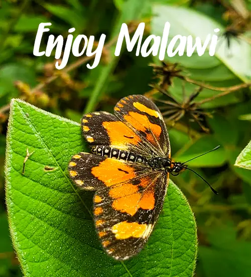 Travelling-Malawi-holiday-destination