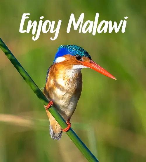 What-We-Offer-to-Explore-Malawi-Kuthengo