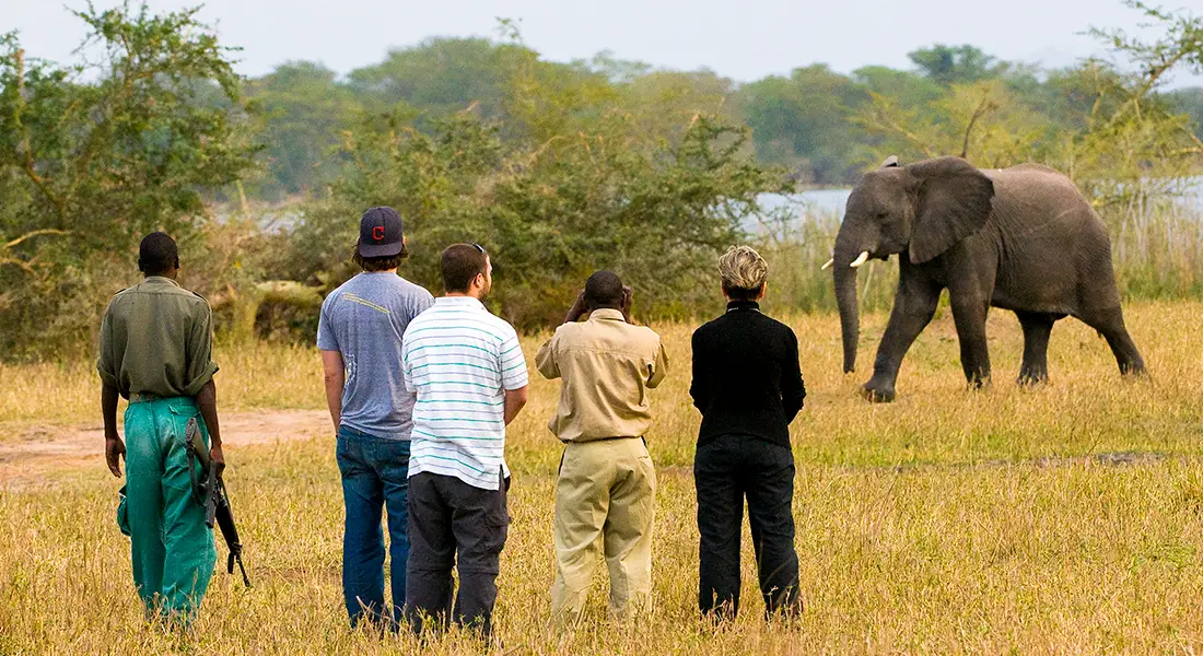 What-We-Offer-to-Explore-Malawi-Private-Guided-Safaris-Walking-Safari
