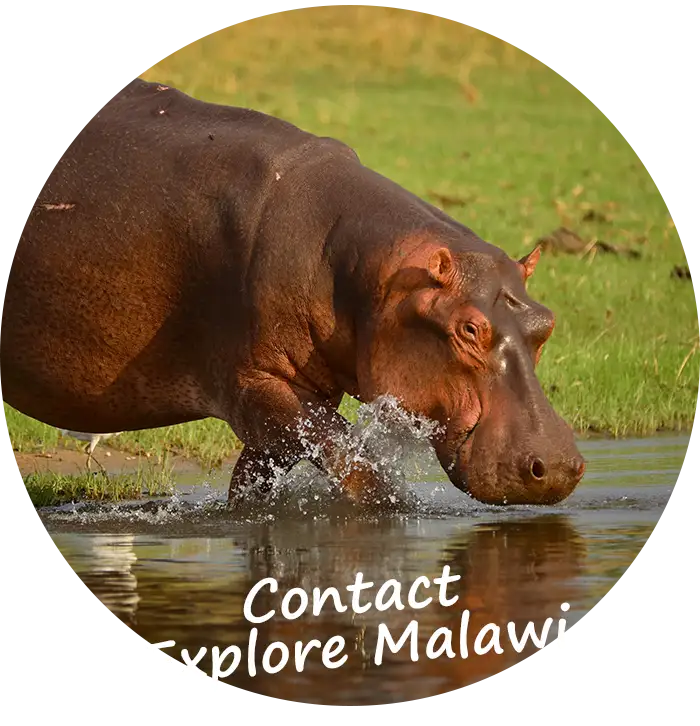 Contact-Explore-Malawi-Self-Drive-Guided-Tours-Contact