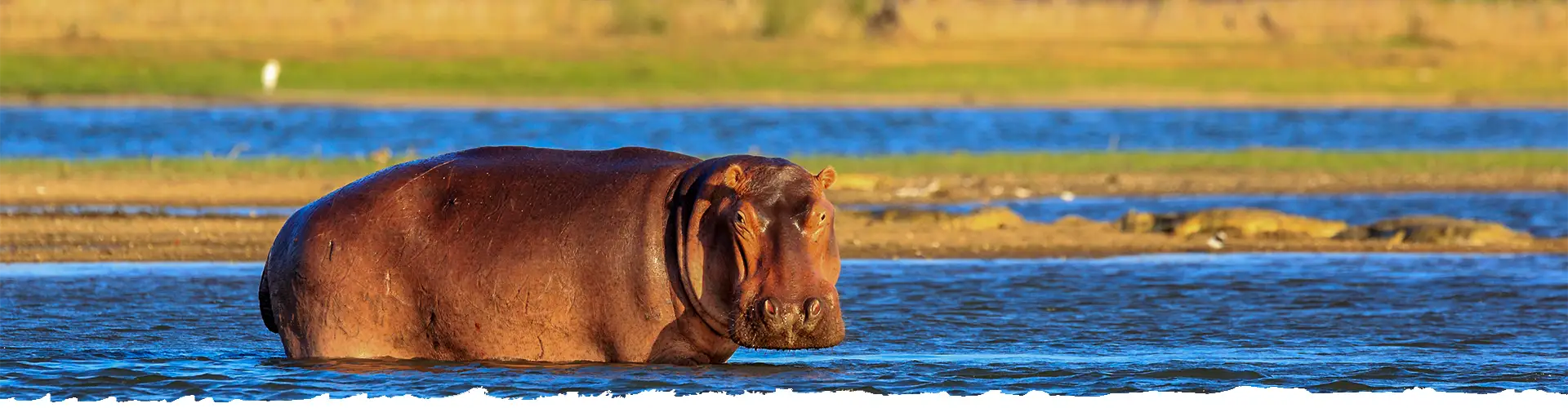 Explore-Malawi-About-Us-Self-Drive-Private-Guided-Safari-Travel-Advice