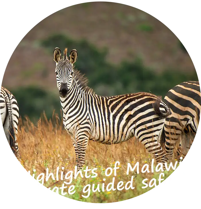Private-Guided-Safari-Itinerary-Highlights-Malawi